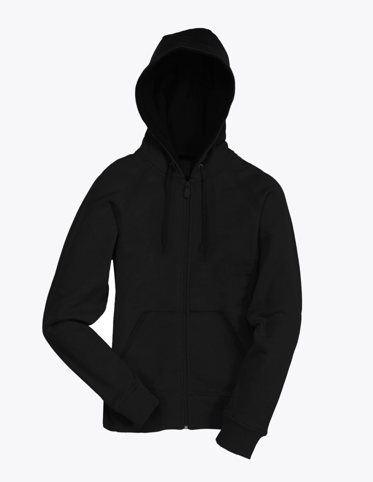 Black Lion Audio Hoodie Front