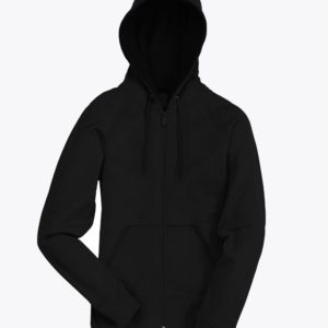 Black Lion Audio Hoodie Front